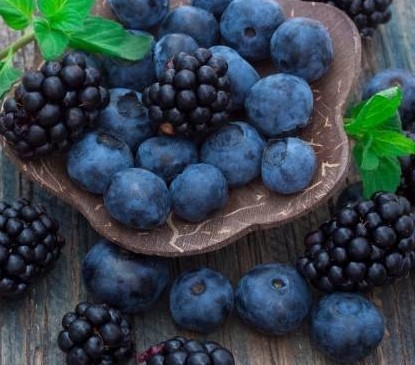moras y arandanos